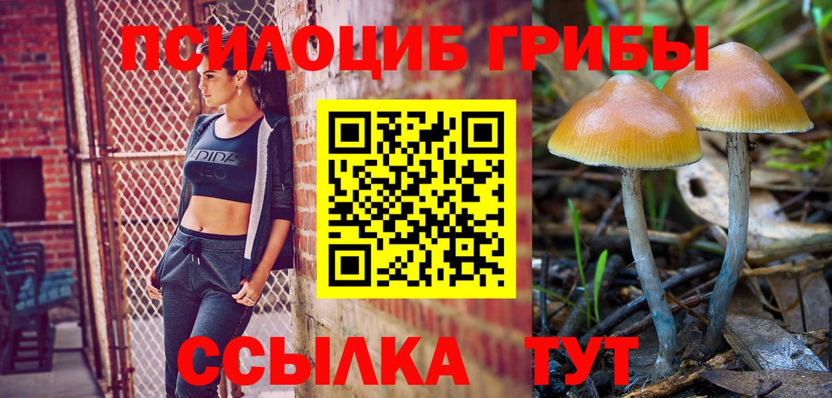 Галлюциногенные грибы прущие грибы Десногорск
