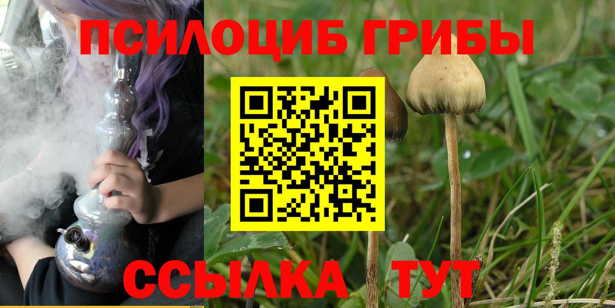 Десногорск  Псилоцибиновые грибы Magic Shrooms  Вход с VPN 